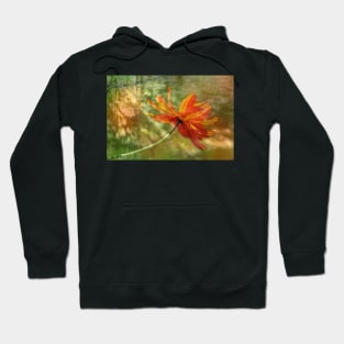 Cosmos Impression Hoodie